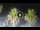 Webcam in Riccione, 0.2 mi away