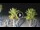Webcam in Riccione, 0.2 mi away