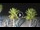 Webcam in Riccione, 0.2 mi away