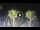 Webcam in Riccione, 0.2 mi away