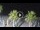 Webcam in Riccione, 0.2 mi away