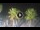 Webcam in Riccione, 0.1 mi away