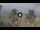 Webcam in Riccione, 0.2 mi away