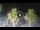 Webcam in Riccione, 0.2 mi away