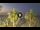 Webcam in Riccione, 3.8 km