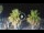 Webcam in Riccione, 0.2 mi away
