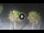 Webcam in Riccione, 0.1 mi away