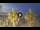 Webcam in Riccione, 0.8 mi away