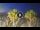 Webcam in Riccione, 0.2 mi away