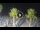 Webcam in Riccione, 0.2 mi away