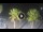 Webcam in Riccione, 0.2 mi away