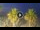 Webcam in Riccione, 0.2 mi away