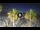 Webcam in Riccione, 0.2 mi away
