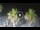 Webcam in Riccione, 0.2 mi away