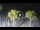 Webcam in Riccione, 0.2 mi away