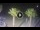 Webcam in Riccione, 0.2 mi away