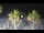Webcam in Riccione, 0.2 mi away