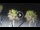Webcam in Riccione, 0.2 mi away