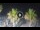 Webcam in Riccione, 0.2 mi away