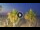 Webcam in Riccione, 0.2 mi away
