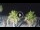 Webcam in Riccione, 0.5 km
