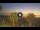 Webcam in Riccione, 2.7 km