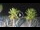 Webcam in Riccione, 0.2 mi away