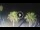 Webcam in Riccione, 2.7 km