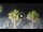 Webcam in Riccione, 0.2 mi away