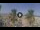 Webcam in Riccione, 0.4 km