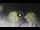 Webcam in Riccione, 2.1 km