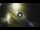 Webcam in Giglio Porto (Isola del Giglio), 29.3 km entfernt