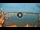 Webcam in Vieste, 0.3 km