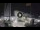 Webcam in Cesenatico, 15 km