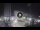 Webcam in Cesenatico, 0.2 mi away
