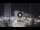 Webcam in Cesenatico, 0.3 km