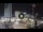Webcam in Cesenatico, 15 km