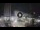 Webcam in Cesenatico, 8.2 km