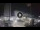 Webcam in Cesenatico, 3.9 mi away