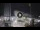 Webcam in Cesenatico, 2.4 mi away