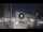 Webcam in Cesenatico, 4.2 km