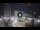 Webcam in Cesenatico, 0.5 km