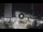 Webcam in Cesenatico, 10.6 km
