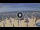 Webcam in Silvi Marina, 30 km