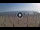 Webcam in Silvi Marina, 7.3 mi away