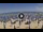 Webcam in Silvi Marina, 8.1 km