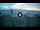 Webcam in Tirrenia, 9.9 mi away