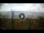 Webcam in Tirrenia, 22.5 km