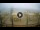 Webcam in Tirrenia, 42.4 km