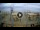 Webcam in Tirrenia, 42.4 km